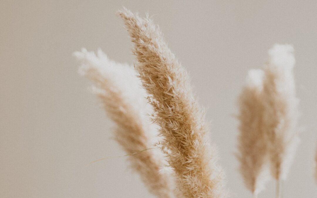 La dinacharya, bien plus que des rituels ayurvédiques