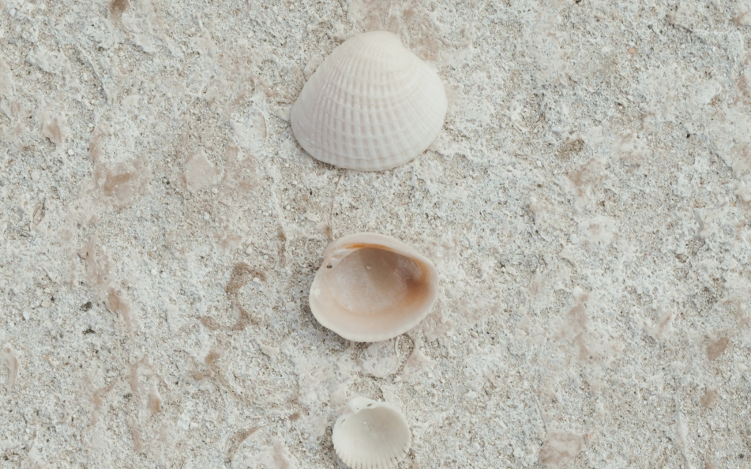 Un été en douceur avec l’Ayurveda