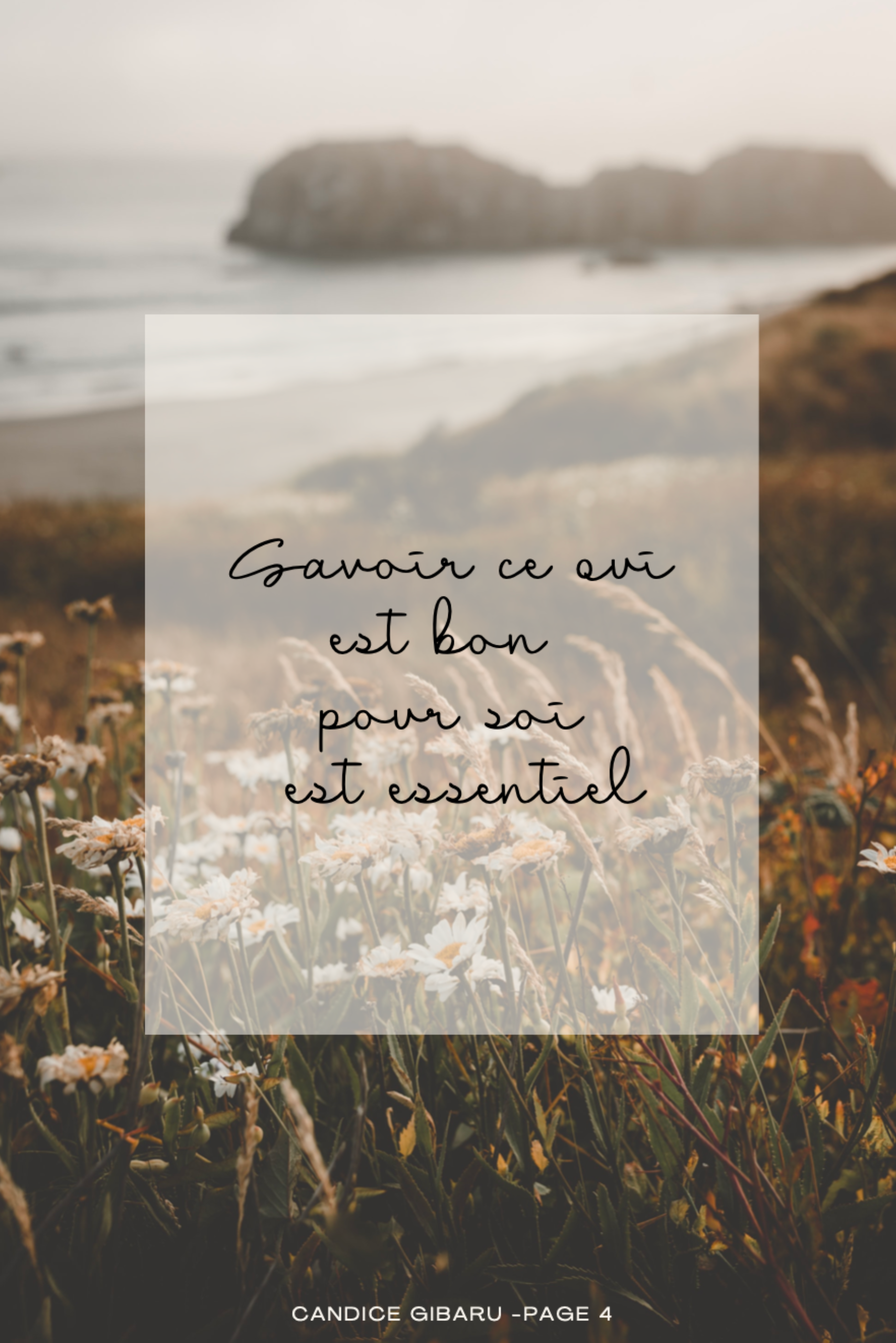 Ebook - LA NUTRITION SELON L'AYURVEDA – Image 3